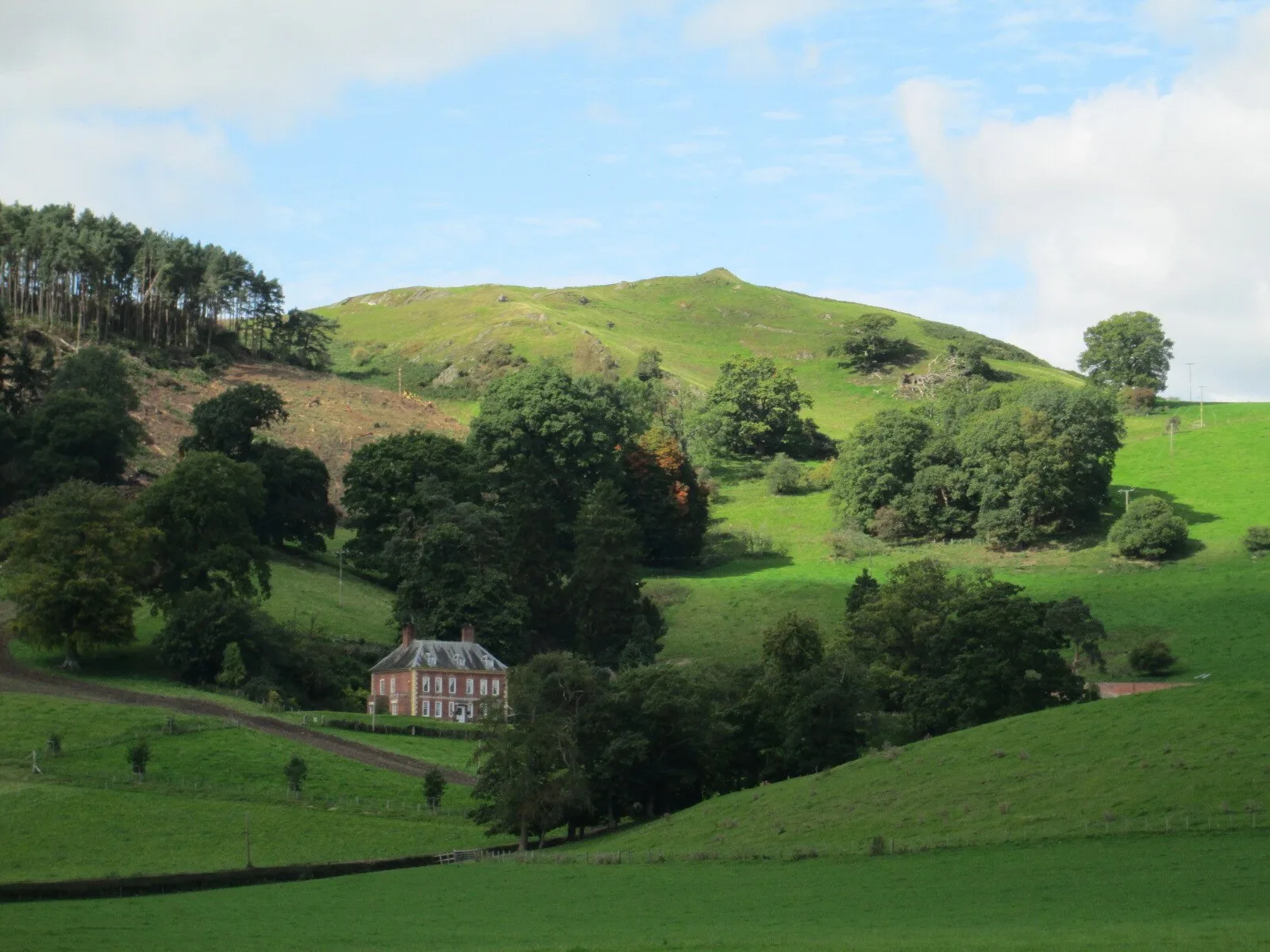 Llwyn Bryn-Dinas